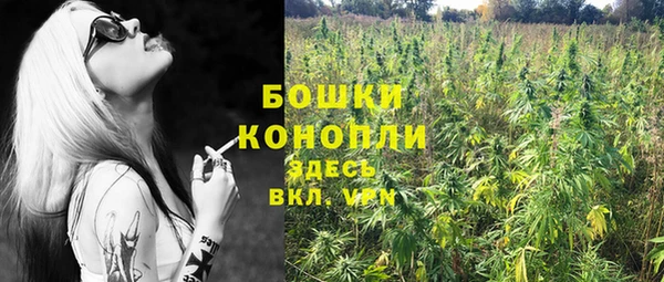 гидра Аркадак