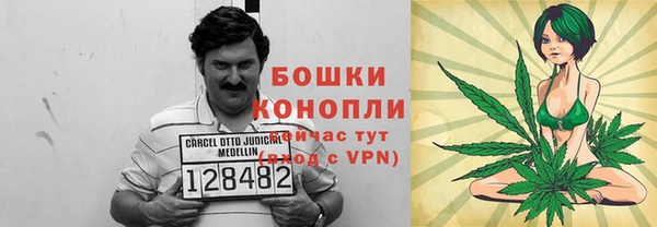 гидра Аркадак