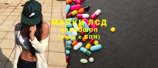 гидра Аркадак