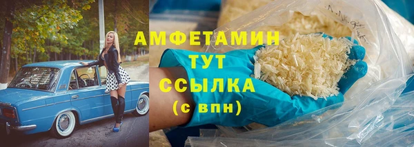 гидра Аркадак