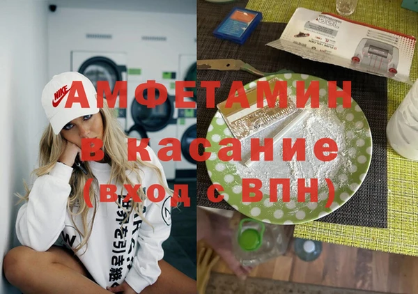 гидра Аркадак